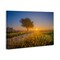 Stupell Industries Rising Sun Horizon Canvas Wall Art Design by Marty Hulsebos